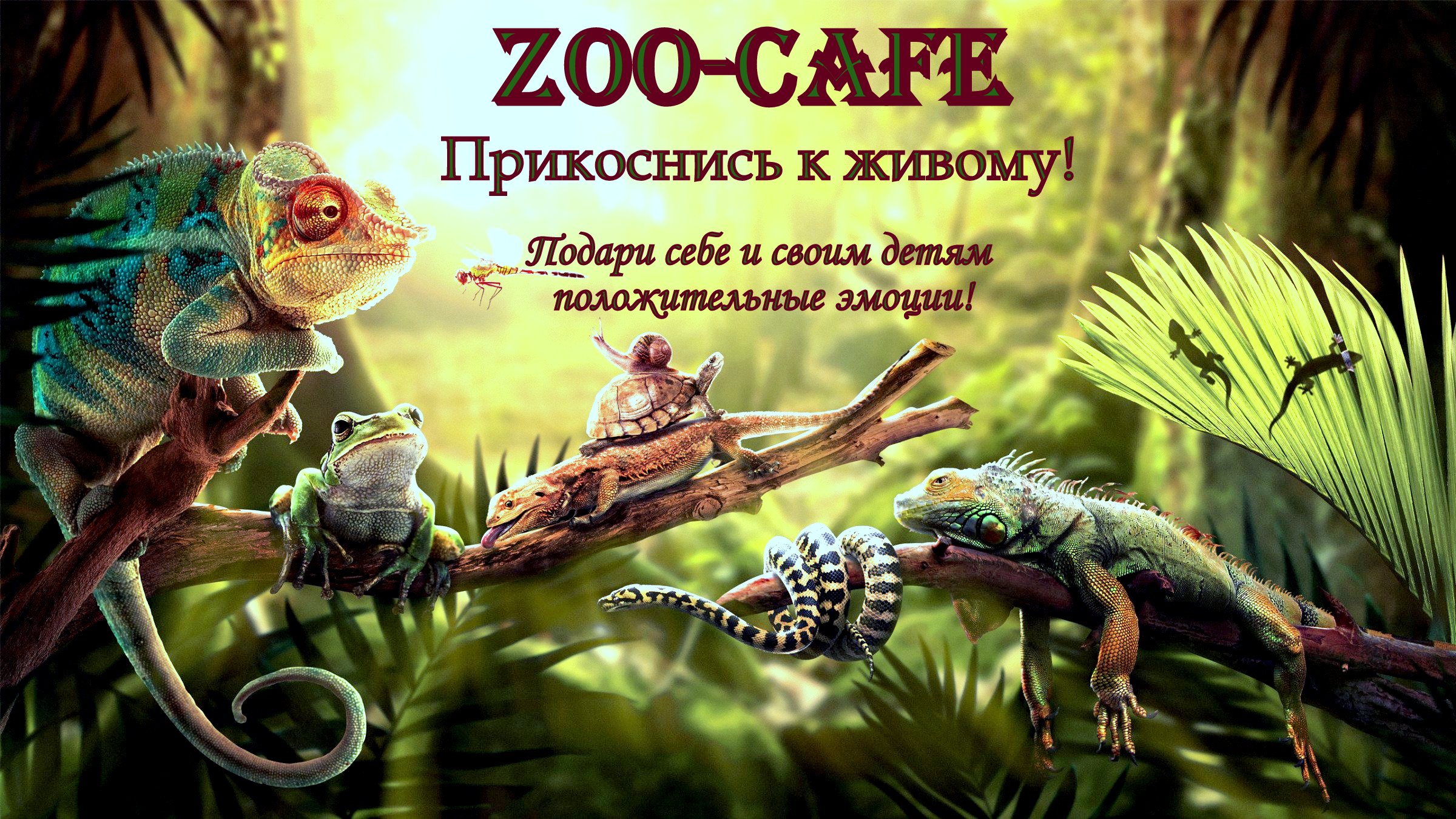 Контактный мини-зоопарк "ZOO-CAFE"